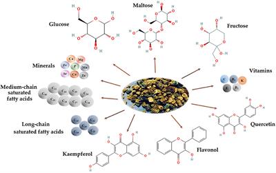 Biotechnological Processes Simulating the Natural Fermentation Process of Bee Bread and Therapeutic Properties—An Overview